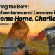 Welcome Home, Charlie! book ad with girl, cat, and goat.