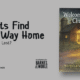 Lost cat finding its way back home using instinct and familiar surroundings