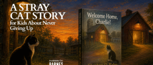 stray cat story for kids